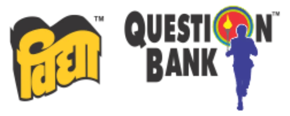 Vidya QB Logo